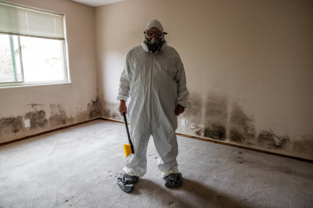 Trusted Frazer, PA Mold Remediation Experts